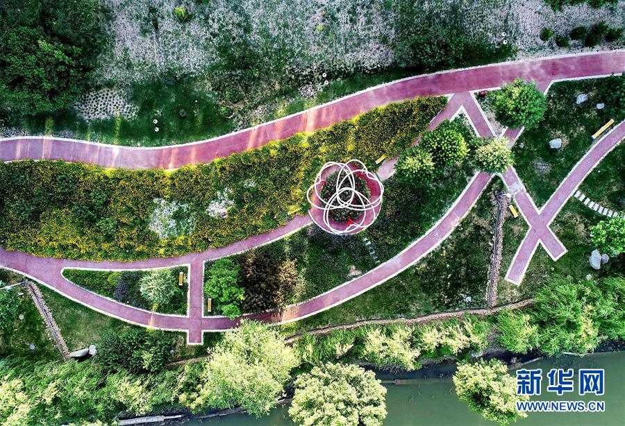 1126049568_15907240818571n.jpg 1126049568_15907240818571n.jpg