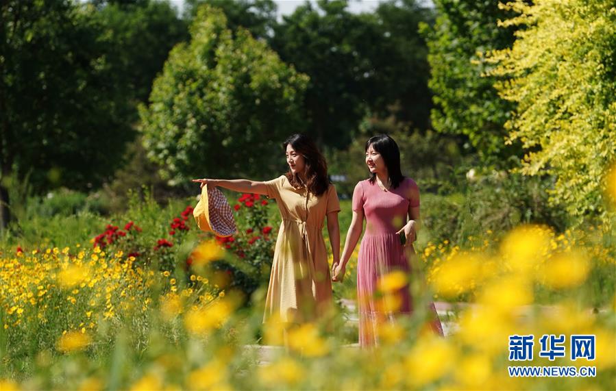 1126049568_15907240817961n.jpg 1126049568_15907240817961n.jpg